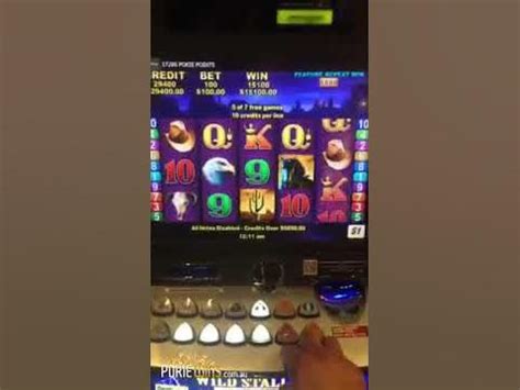 high roller pokie wins